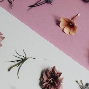 Meet your Posher, Melody